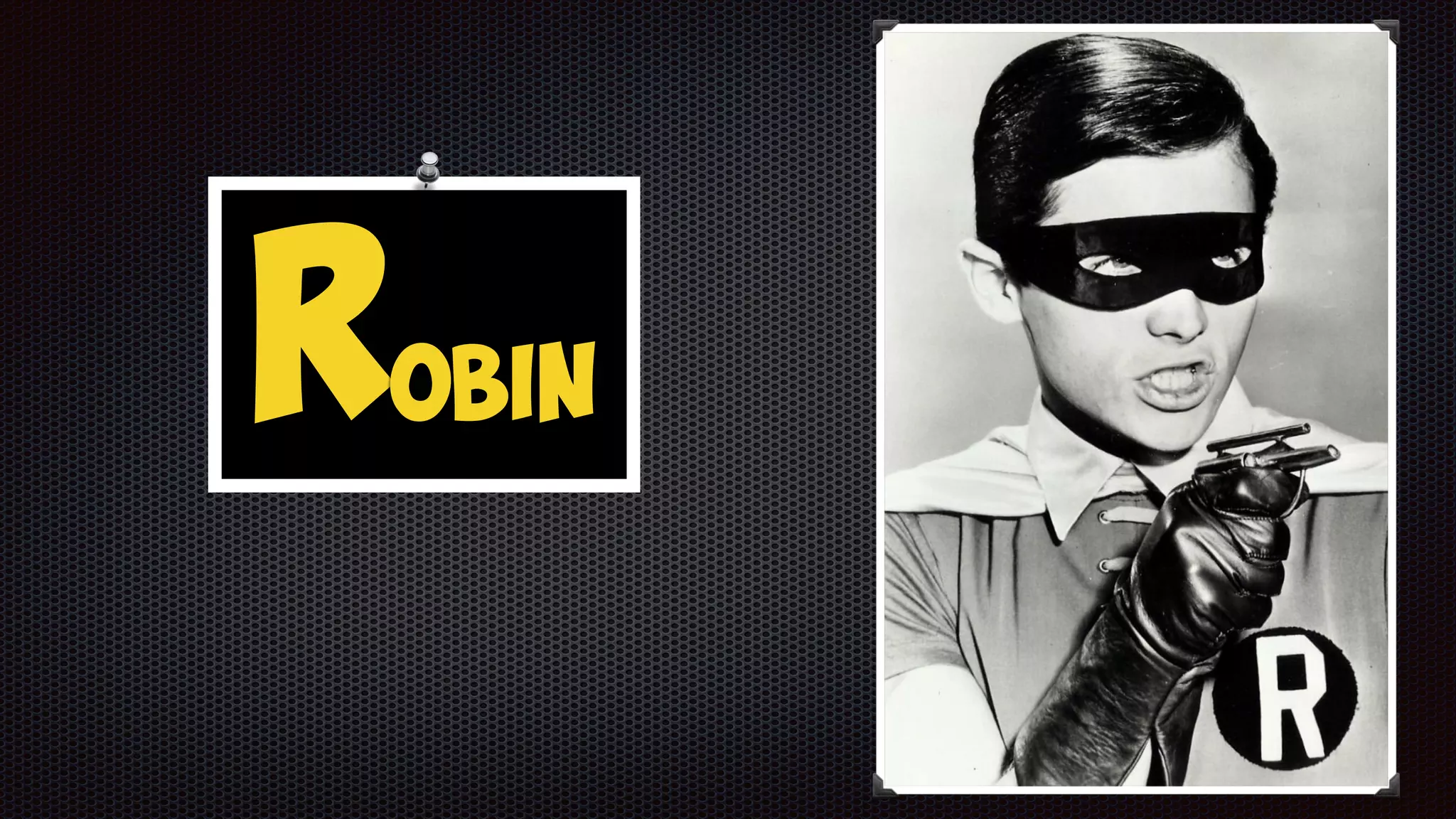 Robin
 