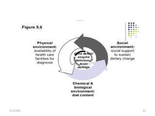 63
Genetic
core
Social env’t
• culture
•Political
•Economy
Biological env’t
• flora
•fauna
Physical env’t
•Hot
•Cold
•Humidity
Fig. wheel model
Figure 5.8
Physical
environment:
availability of
health care
facilities for
diagnosis
Social
environment:
social support
to sustain
dietary change
Chemical &
biological
environment:
diet content
Gene defect/
enzyme
deficiency/
brain
damage
3/19/2024
 
