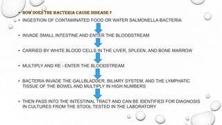 • HOW DOES THE BACTERIA CAUSE DISEASE ?
• INGESTION OF CONTAMINATED FOOD OR WATER SALMONELLA BACTERIA
• INVADE SMALL INTES...