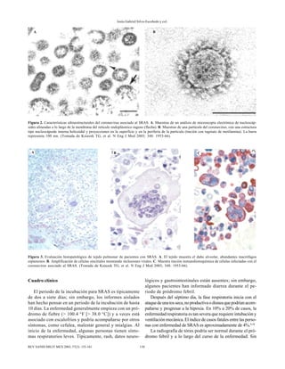 Jesús Gabriel Silva-Escobedo y col.
158REV SANID MILIT MEX 2003; 57(3): 155-161
Cuadro clínico
El periodo de la incubación para SRAS es típicamente
de dos a siete días; sin embargo, los informes aislados
han hecho pensar en un periodo de la incubación de hasta
10 días. La enfermedad generalmente empieza con un pró-
dromo de fiebre (> 100.4 °F [> 38.0 °C]) y a veces está
asociado con escalofríos y podría acompañarse por otros
síntomas, como cefalea, malestar general y mialgias. Al
inicio de la enfermedad, algunas personas tienen sínto-
mas respiratorios leves. Típicamente, rash, datos neuro-
lógicos y gastrointestinales están ausentes; sin embargo,
algunos pacientes han informado diarrea durante el pe-
riodo de pródromo febril.
Después del séptimo día, la fase respiratoria inicia con el
ataquedeunatosseca,noproductivaodisneaquepodríanacom-
pañarse y progresar a la hipoxia. En 10% a 20% de casos, la
enfermedad respiratoria es tan severa que requiere intubación y
ventilación mecánica. El índice de casos fatales entre las perso-
nas con enfermedad de SRAS es aproximadamente de 4%.9,10
La radiografía de tórax podría ser normal durante el pró-
dromo febril y a lo largo del curso de la enfermedad. Sin
Figura 2. Características ultraestructurales del coronavirus asociado al SRAS. A. Muestras de un análisis de microscopia electrónica de nucleocáp-
sides alineadas a lo largo de la membrana del retículo endoplásmico rugoso (flecha). B. Muestras de una partícula del coronavirus, con una estructura
tipo nucleocápside interna helicoidal y proyecciones en la superficie y en la periferia de la partícula (tinción con tugstato de metilamina). La barra
representa 100 nm. (Tomada de Ksiazek TG, et al. N Eng J Med 2003; 348: 1953-66).
A B
Figura 3. Evaluación histopatológica de tejido pulmonar de pacientes con SRAS. A. El tejido muestra el daño alveolar, abundantes macrófagos
espumosos. B. Amplificación de células sincitiales mostrando inclusiones virales. C. Muestra tinción inmunohistoquímica de células infectadas con el
coronavirus asociado al SRAS. (Tomada de Ksiazek TG, et al. N Eng J Med 2003; 348: 1953-66).
A B C
 