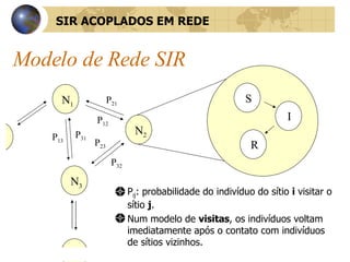 Modelo de Rede SIR P ij : probabilidade do indivíduo do sítio  i  visitar o sítio  j . Num modelo de  visitas , os indivíduos voltam imediatamente após o contato com indivíduos de sítios vizinhos. N 1 N 1 N 2 N 3 I R S P 12 P 21 P 13 P 31 P 32 P 23 SIR ACOPLADOS EM REDE 