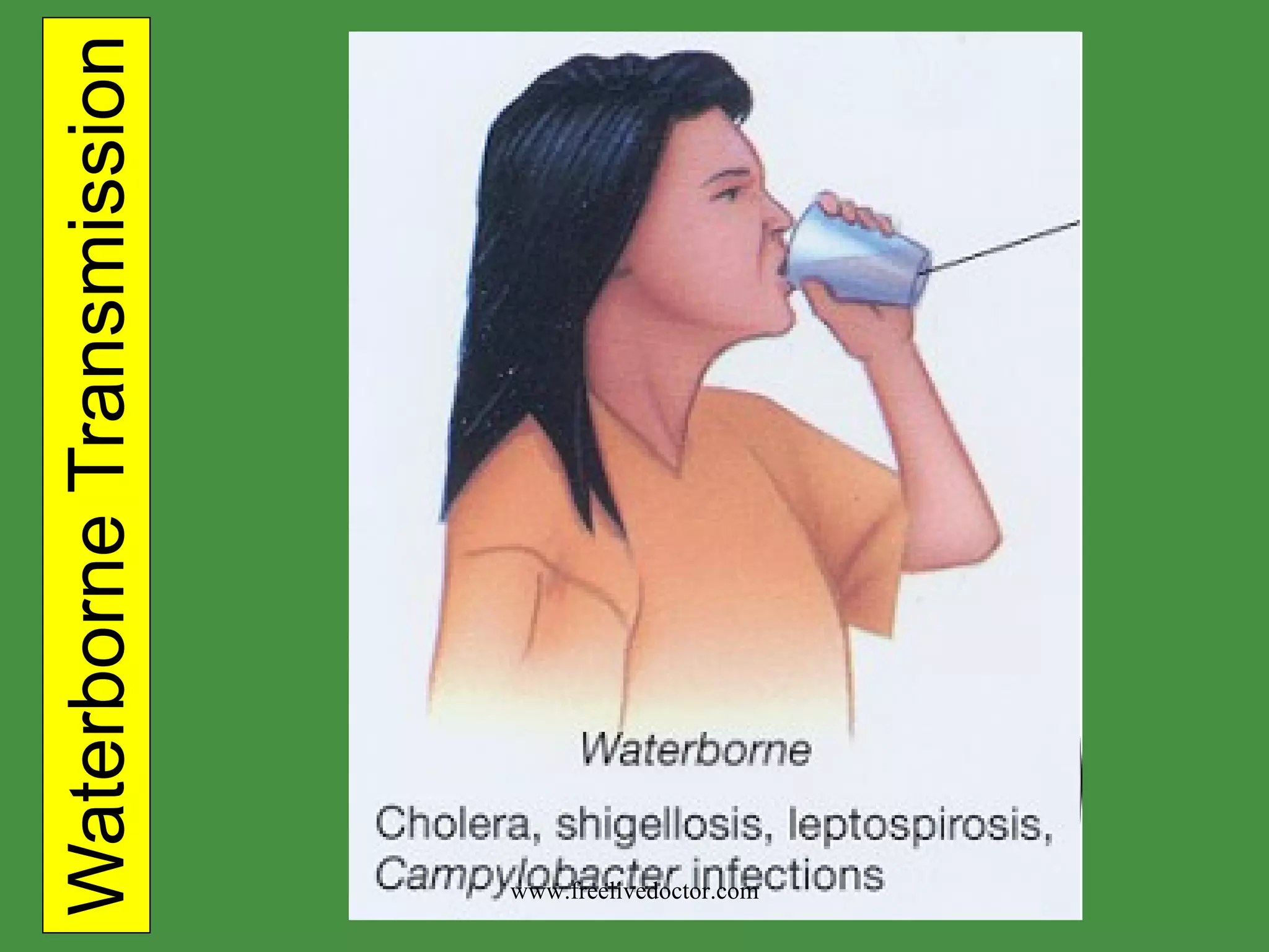Waterborne Transmission www.freelivedoctor.com 