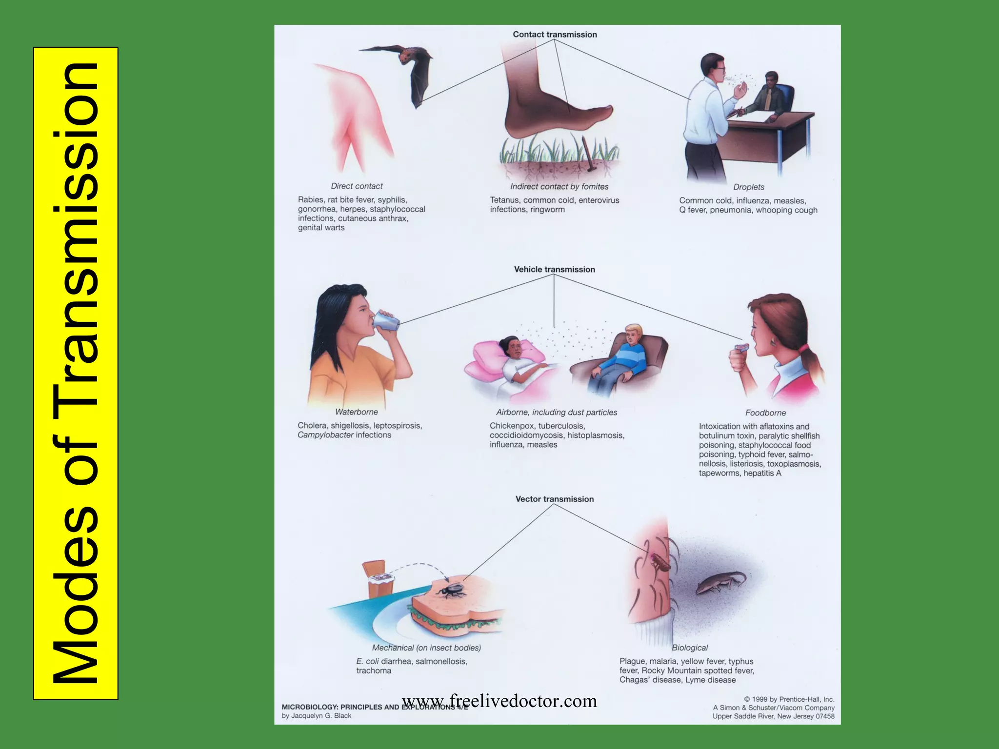 Modes of Transmission www.freelivedoctor.com 