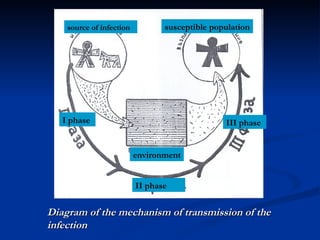 Diagram of the mechanism of transmission of the infection source of infection   susceptible population environment I phase   II phase   III phase   