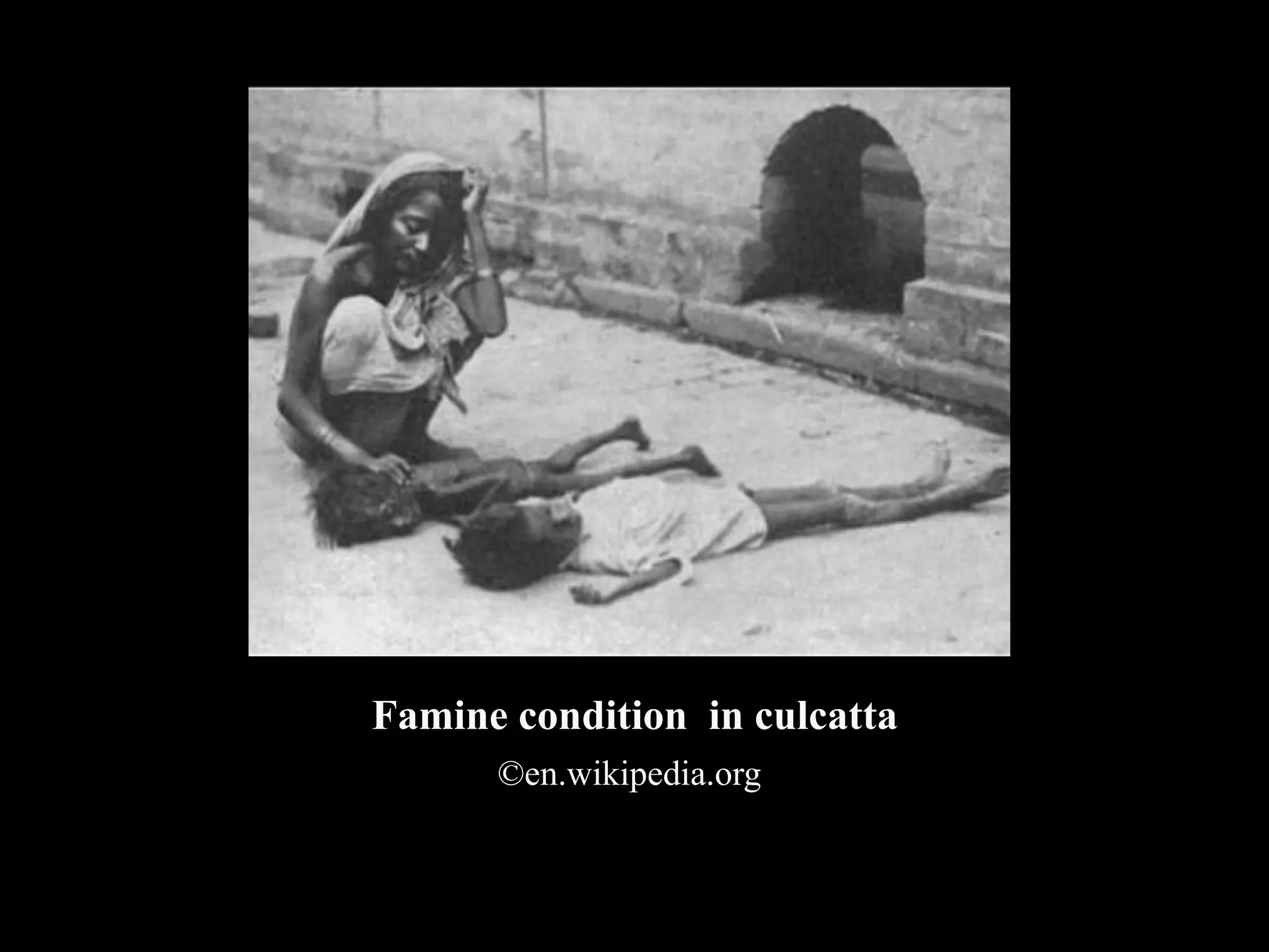 Epidemics of plant diseases in the world PPT