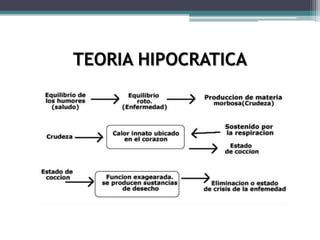 TEORIA HIPOCRATICA
 