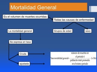 Mortalidad General
Es el volumen de muertes ocurridas
Todas las causas de enfermedad
Grupos de edad sexoLa mortalidad general
Se expresa en tasa
Cruda
ajustada
 