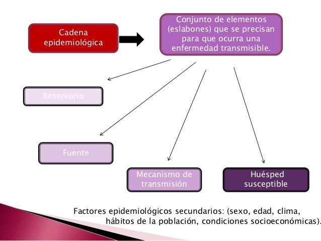 cadena epidemiologica heterologa epidemiolg 237 a cadena epidemiologica heterologa epidemiolg 237 a