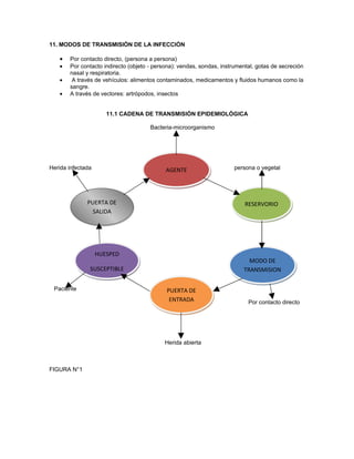 11. MODOS DE TRANSMISIÓN DE LA INFECCIÓN

   •   Por contacto directo, (persona a persona)
   •   Por contacto indirecto (objeto - persona): vendas, sondas, instrumental, gotas de secreción
       nasal y respiratoria.
   •    A través de vehículos: alimentos contaminados, medicamentos y fluidos humanos como la
       sangre.
   •   A través de vectores: artrópodos, insectos


                      11.1 CADENA DE TRANSMISIÓN EPIDEMIOLÓGICA

                                      Bacteria-microorganismo




Herida infectada                            AGENTE                     persona o vegetal




              PUERTA DE                                                    RESERVORIO
                SALIDA




                   HUESPED
                                                                            MODO DE
               SUSCEPTIBLE                                                TRANSMISION

 Paciente                                   PUERTA DE
                                             ENTRADA                        Por contacto directo




                                           Herida abierta



FIGURA N°1
 