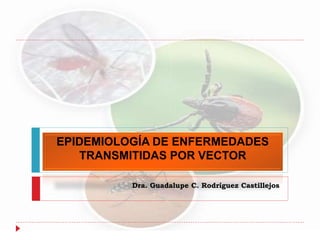 EPIDEMIOLOGÍA DE ENFERMEDADES
TRANSMITIDAS POR VECTOR
Dra. Guadalupe C. Rodríguez Castillejos
 