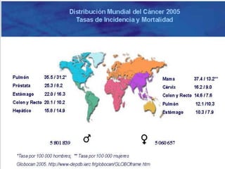 Cáncer a nivel mundial hacia 2007Section 2: Global CancerIncidence (Surveillance, Epidemiology, and EndResultsDatabase)Ahmedin M. Jemal, Montse Garcia, Elizabeth Ward, Michael J. Thun; Cancer: Principles &Practice,  DeVita, Hellman, and Rosenberg’s