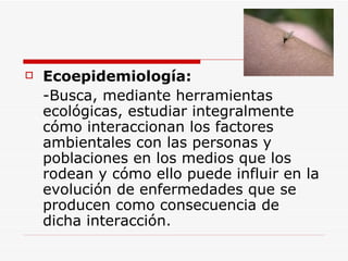 Ecoepidemiología:   - Busca, mediante herramientas ecológicas, estudiar integralmente c ó mo interaccionan los factores ambientales con las personas y poblaciones en los medios que los rodean y c ó mo ello puede influir en la evolución de enfermedades que se producen como consecuencia de dicha interacción. 