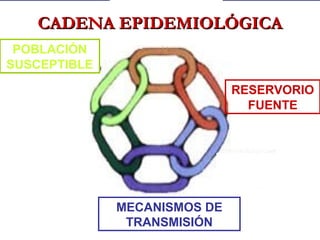 RESERVORIO
FUENTE
MECANISMOS DE
TRANSMISIÓN
POBLACIÓN
SUSCEPTIBLE
CADENA EPIDEMIOLÓGICACADENA EPIDEMIOLÓGICA
 