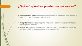 ¿Qué más pruebas pueden ser necesarias?
 Radiografía de tórax:permite al médico valorar el estado de los pulmones y
descartar o no la existencia de nódulos.
 Urografía intravenosa:la urografía intravenosa permite visualizar los riñones,
la vejiga y los uréteres
 Cistoscopia:consiste en la visualización del interior de la vejiga a través de
un tubo muy fino, que posee una luz en su extremo
 