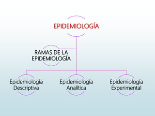 EPIDEMIOLOGÍA
Epidemiología
Descriptiva
Epidemiología
Analítica
Epidemiología
Experimental
RAMAS DE LA
EPIDEMIOLOGÍA
 