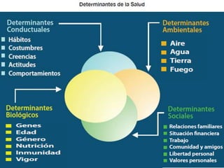 EPIDEMIOLOGÍA
Promoción y Protección de la salud
Medidas
De
Salud
Fomenta
Y
defensa
De Salud
Restauración
De Salud
Protección de
La Salud
(acciones
Que inciden a
Medio ambiente)
Promoción de la
Salud y Prevención
De La Enfermedad
(acciones que
Inciden en el
Individuo)
Saneamiento Ambiental
Higiene Alimenticio
Asistencia ´Primaria
Asistencia Hospitalaria
Medidas
Preventivas
(Concepto
Amplio)
Medidas
Preventivas
(Concepto
Restringido)
Acciones de
Acciones
Personales
 