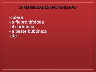 -cólera
-la fiebre tifoidea
-el carbunco
-la peste bubónica
-etc.
ENFERMEDADES BACTERIANAS
 