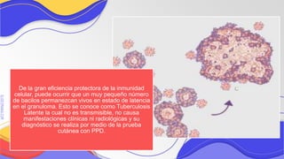 SLIDESMANIA.COM
SLIDESMANIA.COM
De la gran eficiencia protectora de la inmunidad
celular, puede ocurrir que un muy pequeño número
de bacilos permanezcan vivos en estado de latencia
en el granuloma. Esto se conoce como Tuberculosis
Latente la cual no es transmisible, no causa
manifestaciones clínicas ni radiológicas y su
diagnóstico se realiza por medio de la prueba
cutánea con PPD.
 