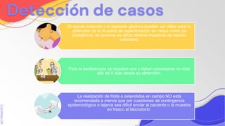 SLIDESMANIA.COM
Detección de casos
El esputo inducido y el aspirado gástrico pueden ser útiles para la
obtención de la muestra de expectoración en casos como los
pediátricos, en quienes es difícil obtener muestras de esputo
voluntario.
Para la baciloscopia se requiere una y deben procesarse no más
allá de 5 días desde su obtención.
La realización de frotis o extendidos en campo NO está
recomendada a menos que por cuestiones de contingencia
epidemiológica o lejanía sea difícil enviar al paciente o la muestra
en fresco al laboratorio
 