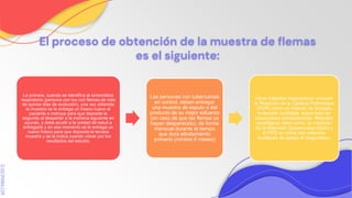 SLIDESMANIA.COM
El proceso de obtención de la muestra de flemas
es el siguiente:
La primera, cuando se identifica al sintomático
respiratorio (persona con tos con flemas de más
de quince días de evolución), una vez obtenida
la muestra se le entrega un frasco nuevo al
paciente e instruye para que deposite la
segunda al despertar a la mañana siguiente en
ayunas, y debe acudir a la unidad de salud a
entregarla y en ese momento se le entrega un
nuevo frasco para que deposite la tercera
muestra y se le indica cuando volver por los
resultados del estudio.
Las personas con tuberculosis
en control, deben entregar
una muestra de esputo o del
producto de su mejor esfuerzo
(en caso de que las flemas ya
hayan desparecido), de forma
mensual durante el tiempo
que dura eltratamiento
primario (mínimo 6 meses)
Otros métodos diagnósticos incluyen
la Reacción de la Cadena Polimerasa
(PCR) como un método de biología
molecular confiable, sobre todo en
tuberculosis extrapulmonar. Métodos
serológicos tales como, la medición
de la Adenosín Desaminasa (ADA) y
el PPD en niños son métodos
auxiliares de apoyo al diagnóstico.
 