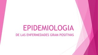 EPIDEMIOLOGIA
DE LAS ENFERMEDADES GRAM POSITIVAS
 