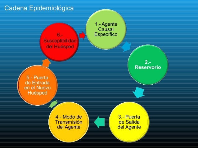 cadena epidemiologica lepra epidemiolog 237 a cadena epidemiologica lepra epidemiolog 237 a