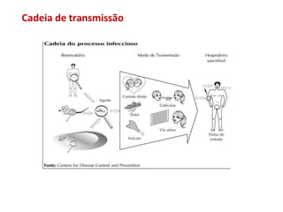 Cadeia de transmissão
 