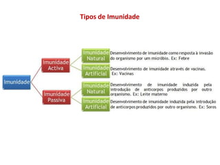 Tipos de Imunidade
 