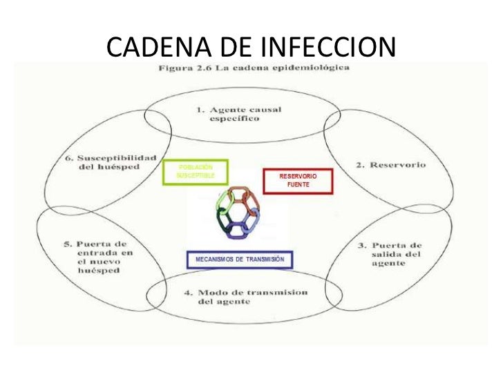 Epidemiologia de las infecciones virales Epidemiologia de las infecciones virales