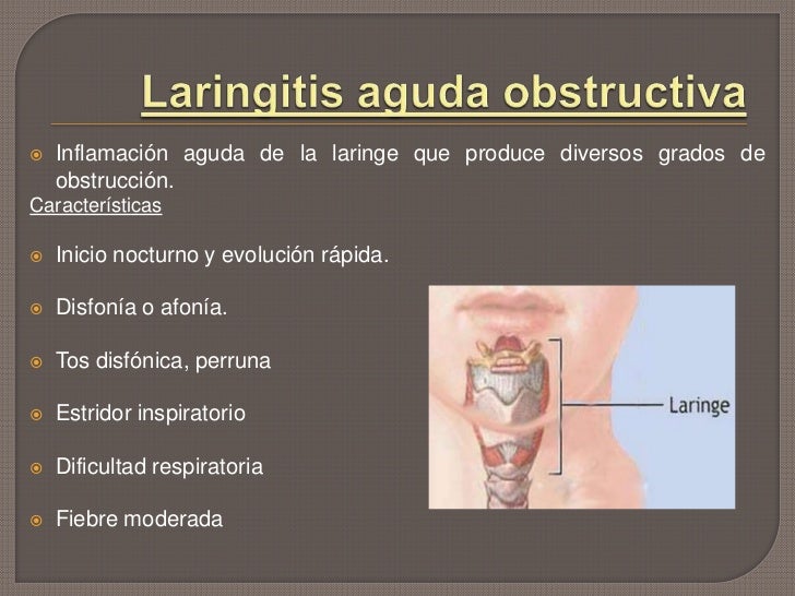 Epidemiologia del paciente pediátrico en ktr chile Epidemiologia del paciente pediátrico en ktr chile