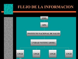 FLUJO DE LA INFORMACION UPGD UNIDAD NOTIFICADORA INSTITUTO NACIONAL DE SALUD UPGD UPGD UPGD OPS OMS 