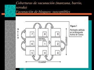 Coberturas de vacunación (manzana, barrio, vereda) Vacunación de bloqueo: susceptibles 