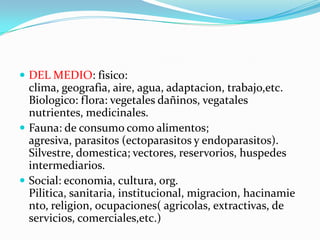 DEL MEDIO: fisico: clima, geografia, aire, agua, adaptacion, trabajo,etc. Biologico: flora: vegetales dañinos, vegatales nutrientes, medicinales.Fauna: de consumo como alimentos; agresiva, parasitos (ectoparasitos y endoparasitos). Silvestre, domestica; vectores, reservorios, huspedes intermediarios.Social: economia, cultura, org. Pilitica, sanitaria, institucional, migracion, hacinamiento, religion, ocupaciones( agricolas, extractivas, de servicios, comerciales,etc.)