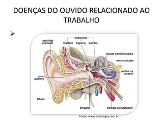 DOENÇAS DO OUVIDO RELACIONADO AO
TRABALHO

Fonte: www.sobiologia.com.br
 