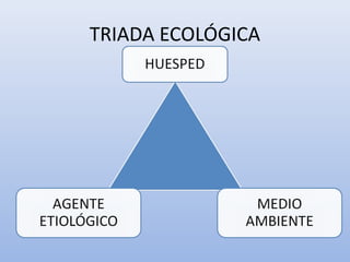 TRIADA ECOLÓGICA
 