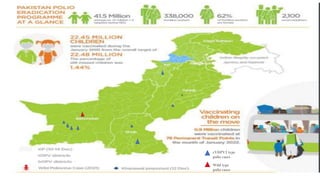 cVDPV2 type
polio cases
Wild type
polio cases
 