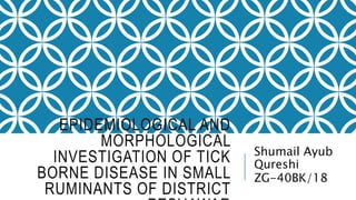 EPIDEMIOLOGICAL AND
MORPHOLOGICAL
INVESTIGATION OF TICK
BORNE DISEASE IN SMALL
RUMINANTS OF DISTRICT
Shumail Ayub
Qureshi
ZG-40BK/18
 