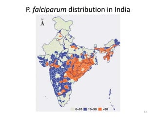 P. falciparum distribution in India
13
 
