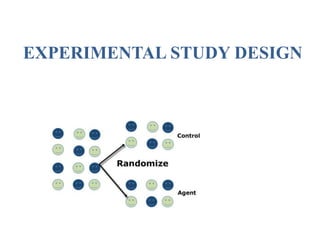 EXPERIMENTAL STUDY DESIGN
 