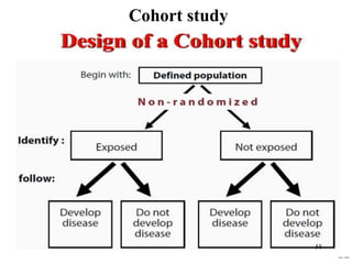 Cohort study
58
 