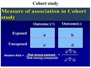 Cohort study
73
 