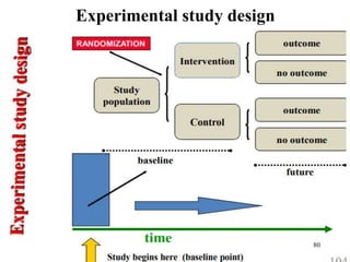 Experimental study design
80
 