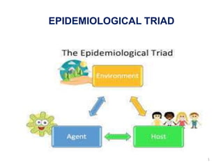EPIDEMIOLOGICAL TRIAD
1
 