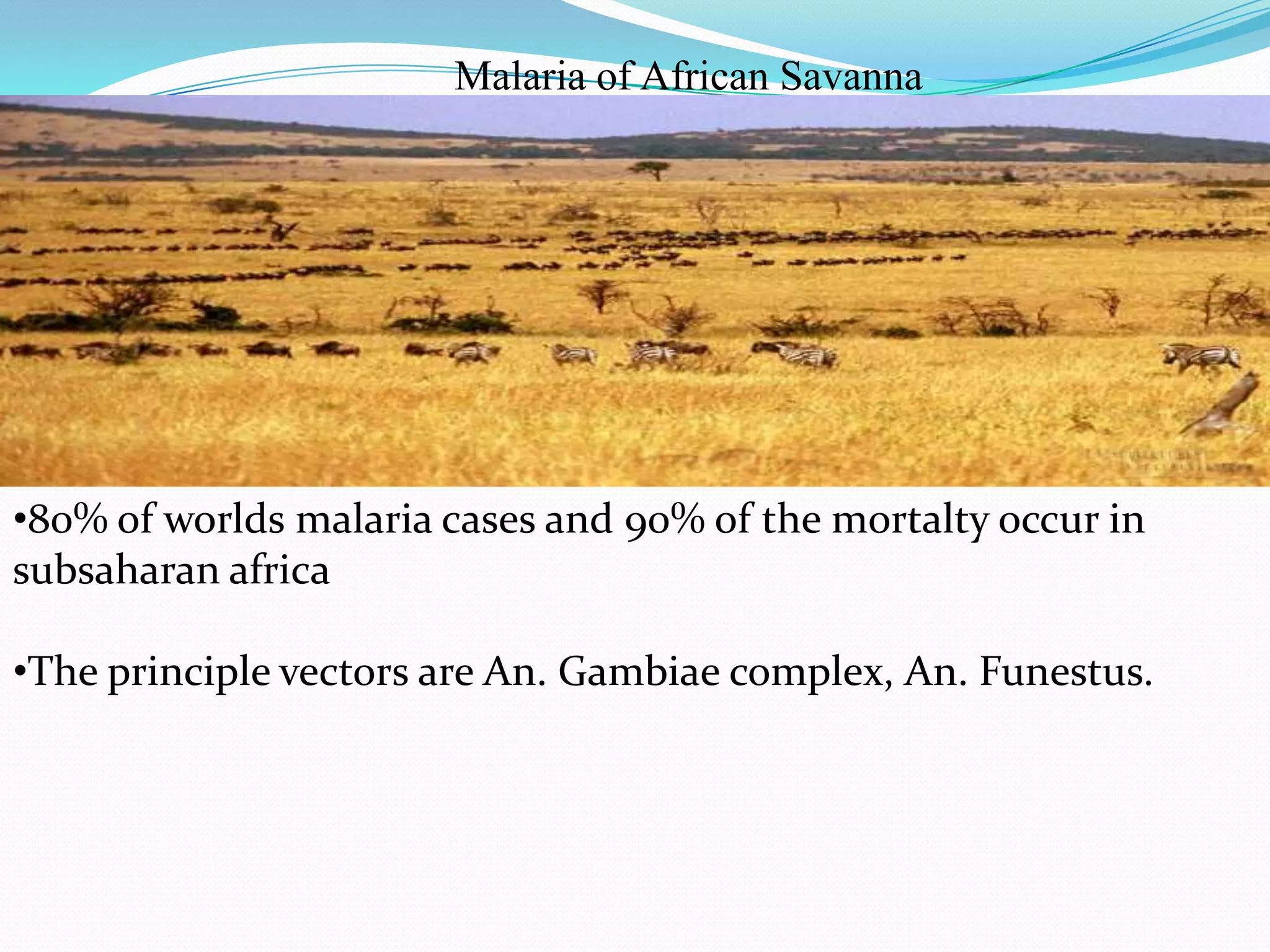 Malaria of African Savanna

•80% of worlds malaria cases and 90% of the mortalty occur in
subsaharan africa
•The principle vectors are An. Gambiae complex, An. Funestus.

 