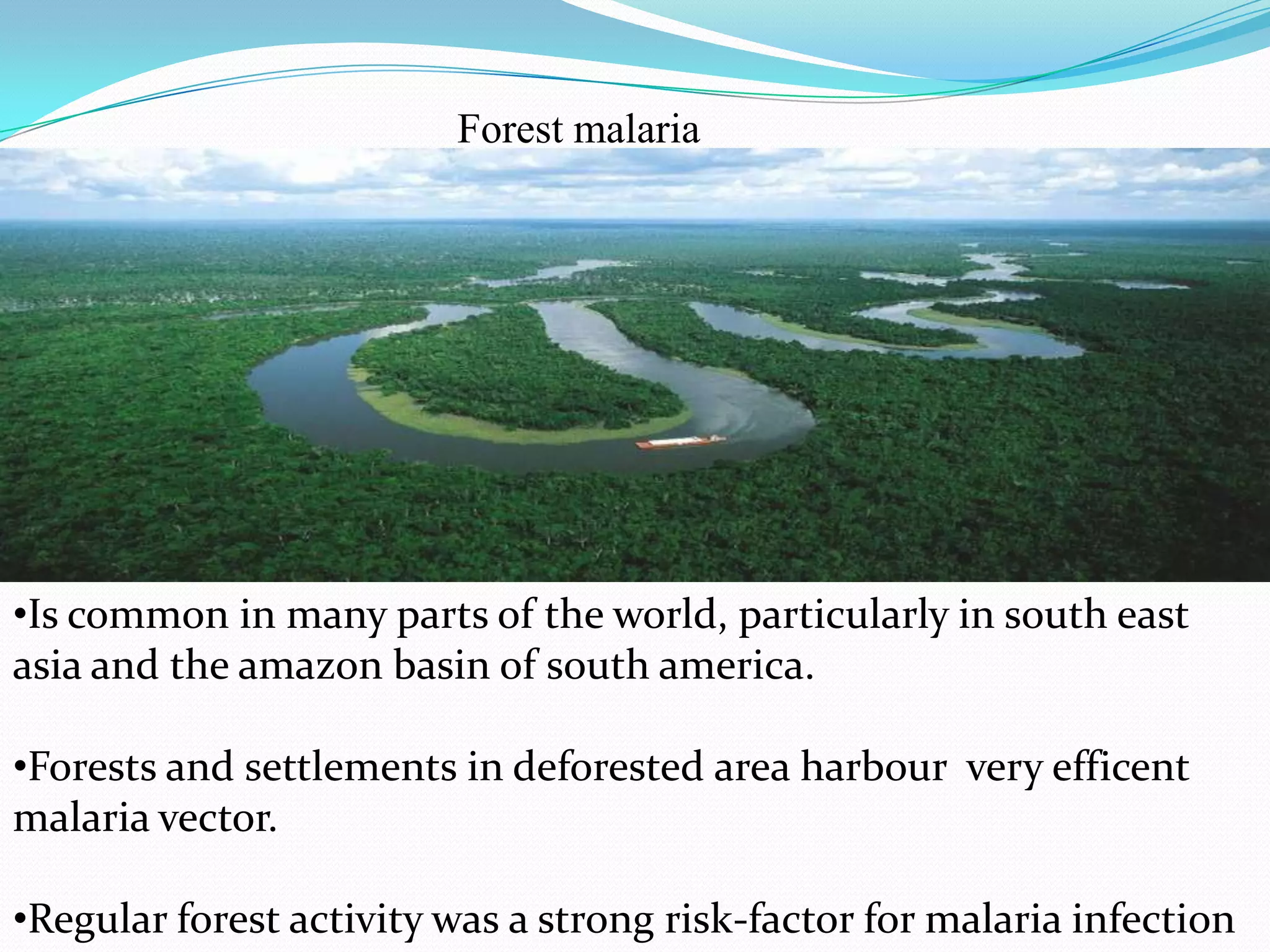Forest malaria

•Is common in many parts of the world, particularly in south east
asia and the amazon basin of south america.

•Forests and settlements in deforested area harbour very efficent
malaria vector.
•Regular forest activity was a strong risk-factor for malaria infection

 