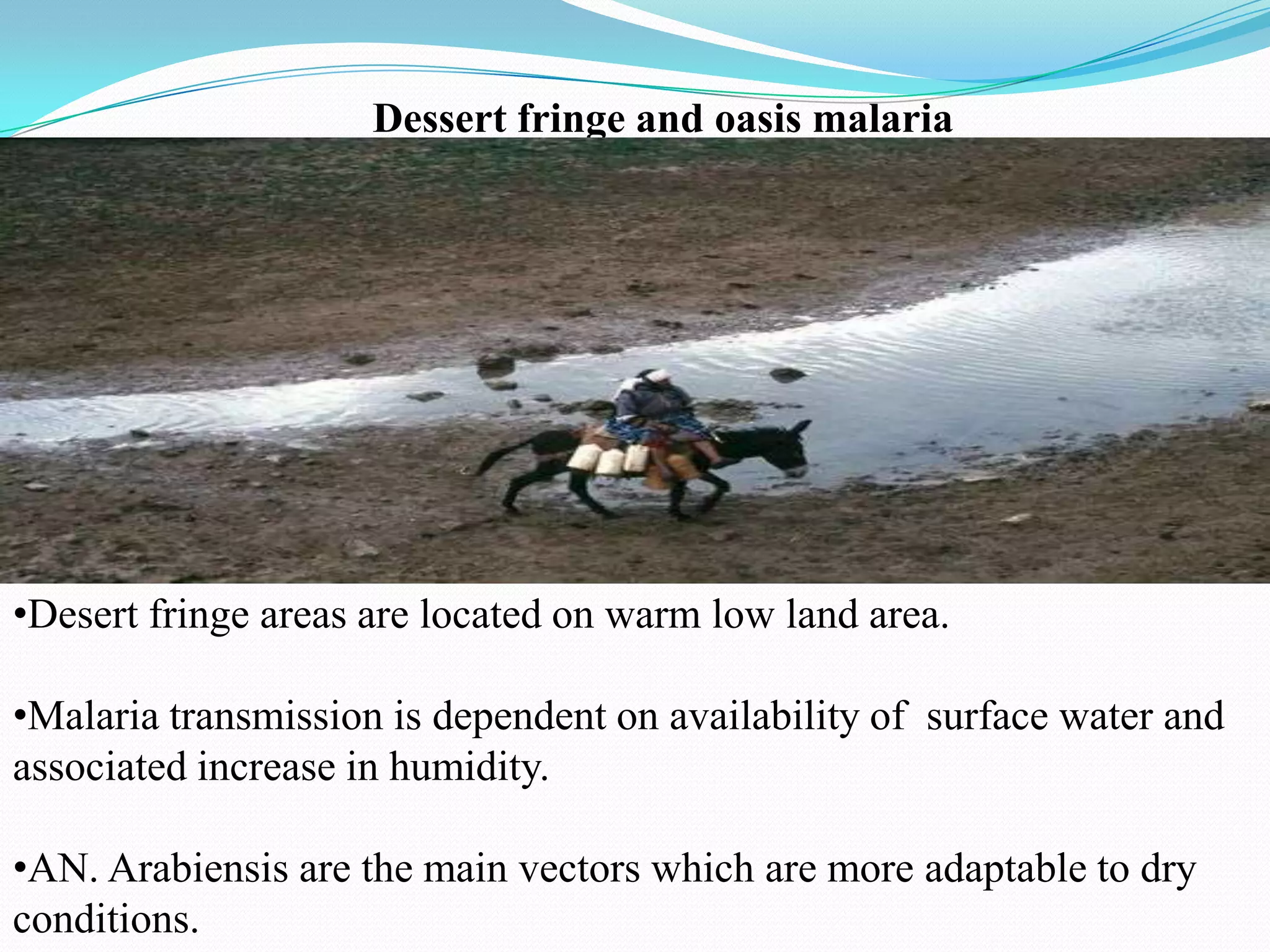Dessert fringe and oasis malaria

•Desert fringe areas are located on warm low land area.
•Malaria transmission is dependent on availability of surface water and
associated increase in humidity.
•AN. Arabiensis are the main vectors which are more adaptable to dry
conditions.

 