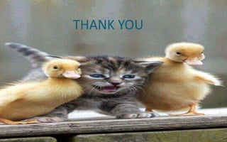 THANK YOU
25
 