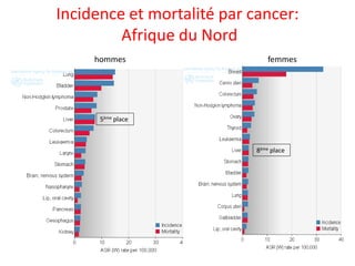 Incidence et mortalité par cancer:
Afrique du Nord
hommes femmes
8ème place
5ème place
 