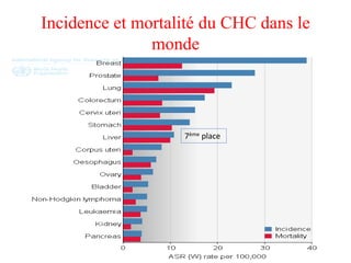 Incidence et mortalité du CHC dans le
monde
7ème place
 