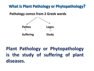 What is Plant Pathology or Phytopathology?
Plant Pathology or Phytopathology
is the study of suffering of plant
diseases.
Pathology comes from 2 Greek words
Pathos
Suffering
Logos
Study
 